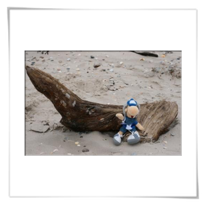 Erwin an der Nordsee